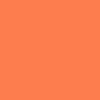 Coral Color Colors Name