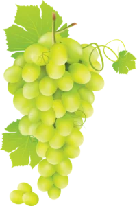 अंगूर Grapes ColorNames.In