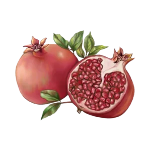 अनार (Pomegranate)