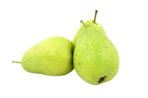 नाशपाती (Pear)